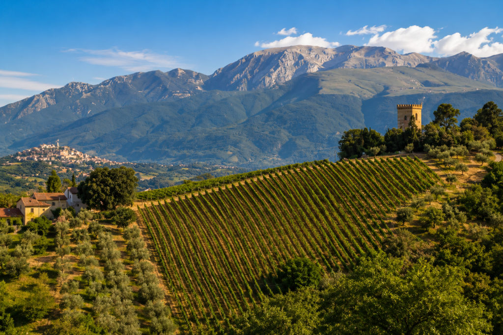 VIGNETO ABRUZZO